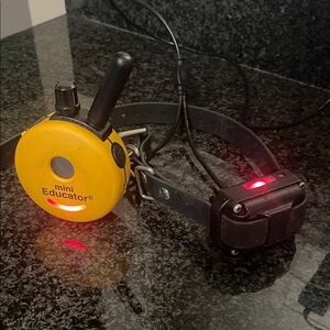Yellow and Black Dog Training Collar